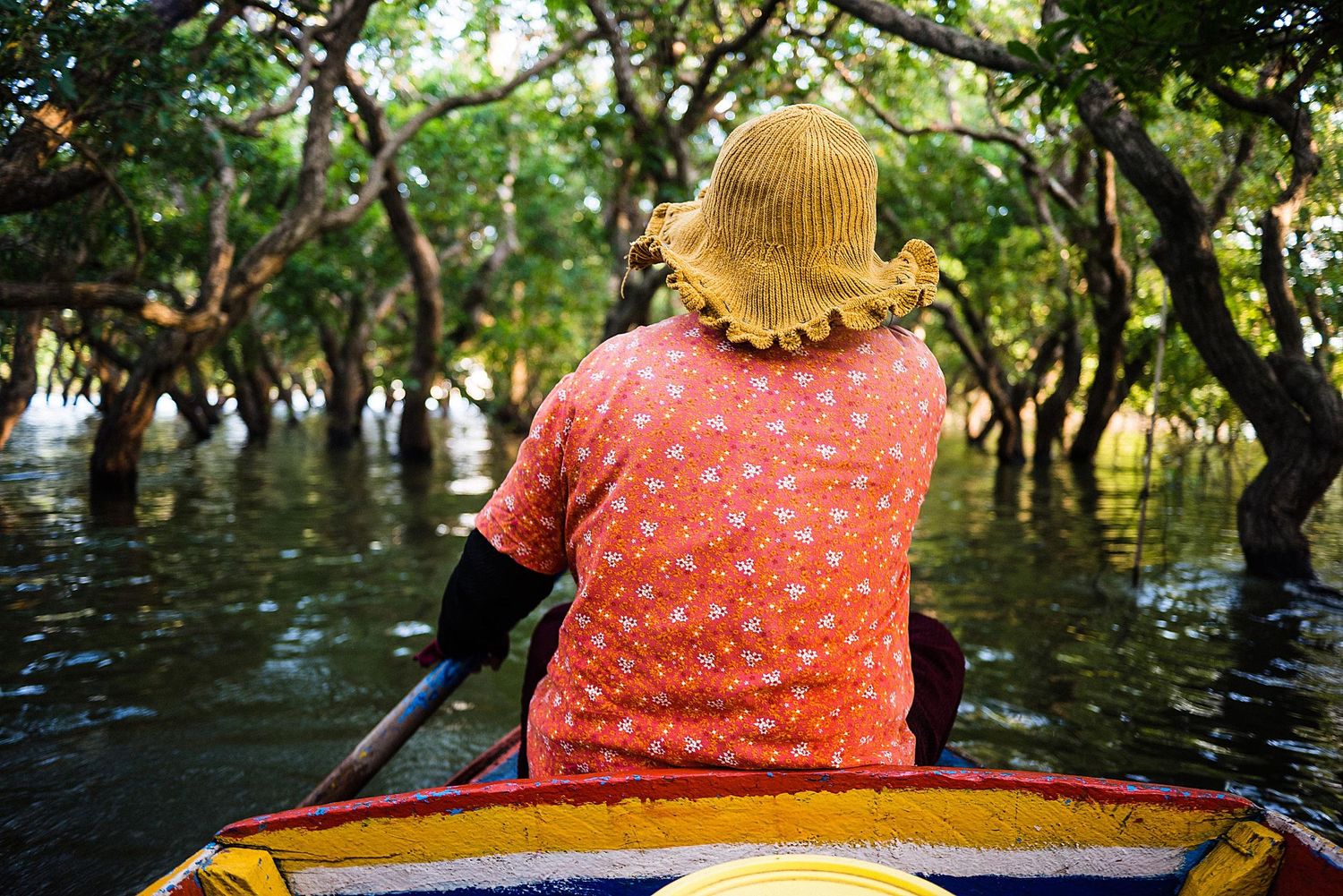 Two people paddle a traditional wooden canoe through a tranquil mangrove forest with sunlight filtering through trees.
