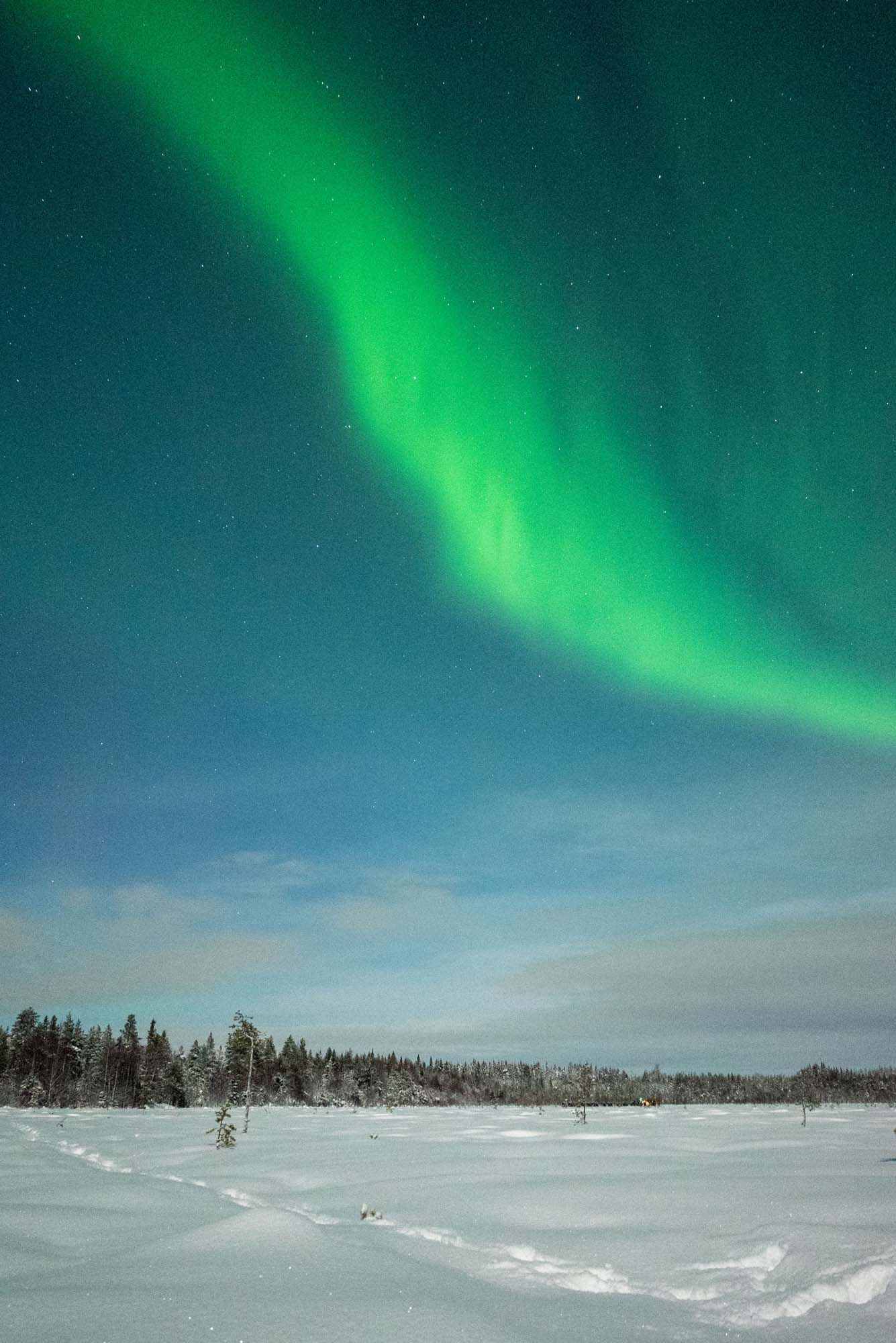 Stunning green aurora borealis dances across night sky over snowy winter landscape with evergreen forest in distance.