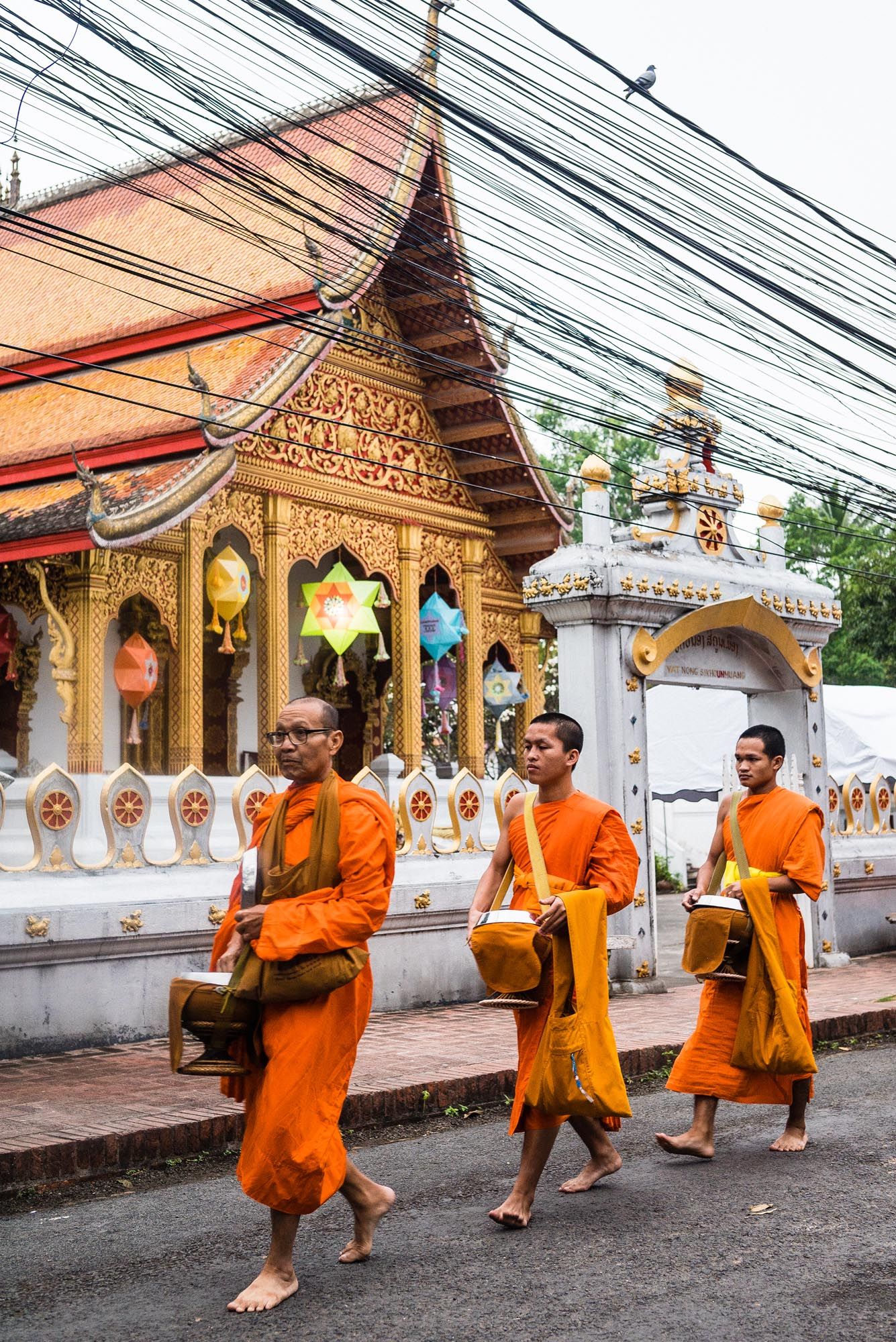 Buddhist monks in bright orange robes walk along a temple wall during morning alms collection in Luang Prabang, Laos.