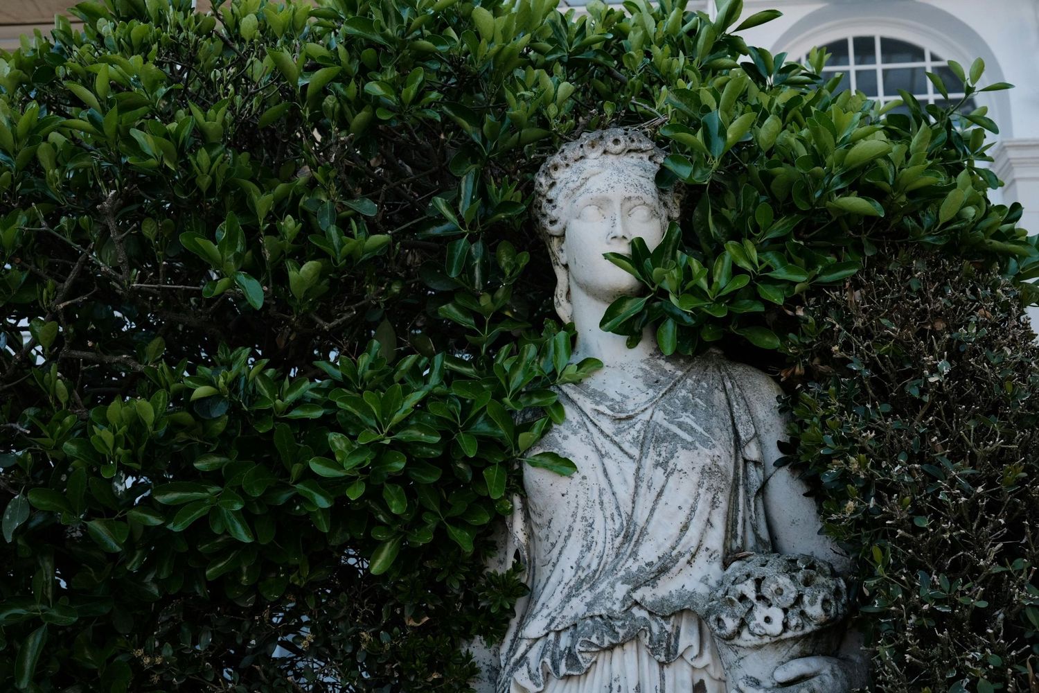A white marble statue stands among lush green foliage in a garden setting with an arched window in the background.