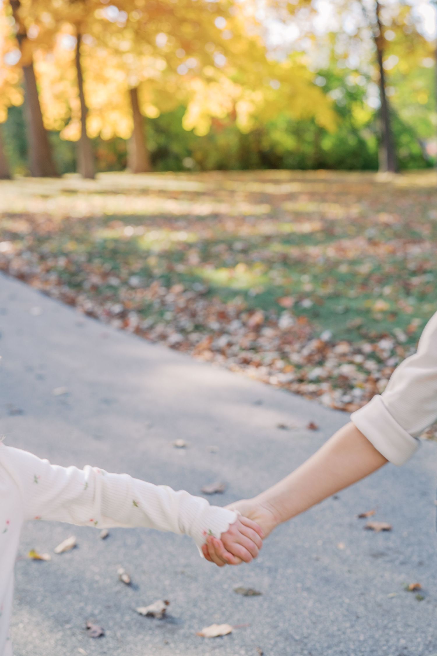 Two hands clasped together on path with fall foliage in background.