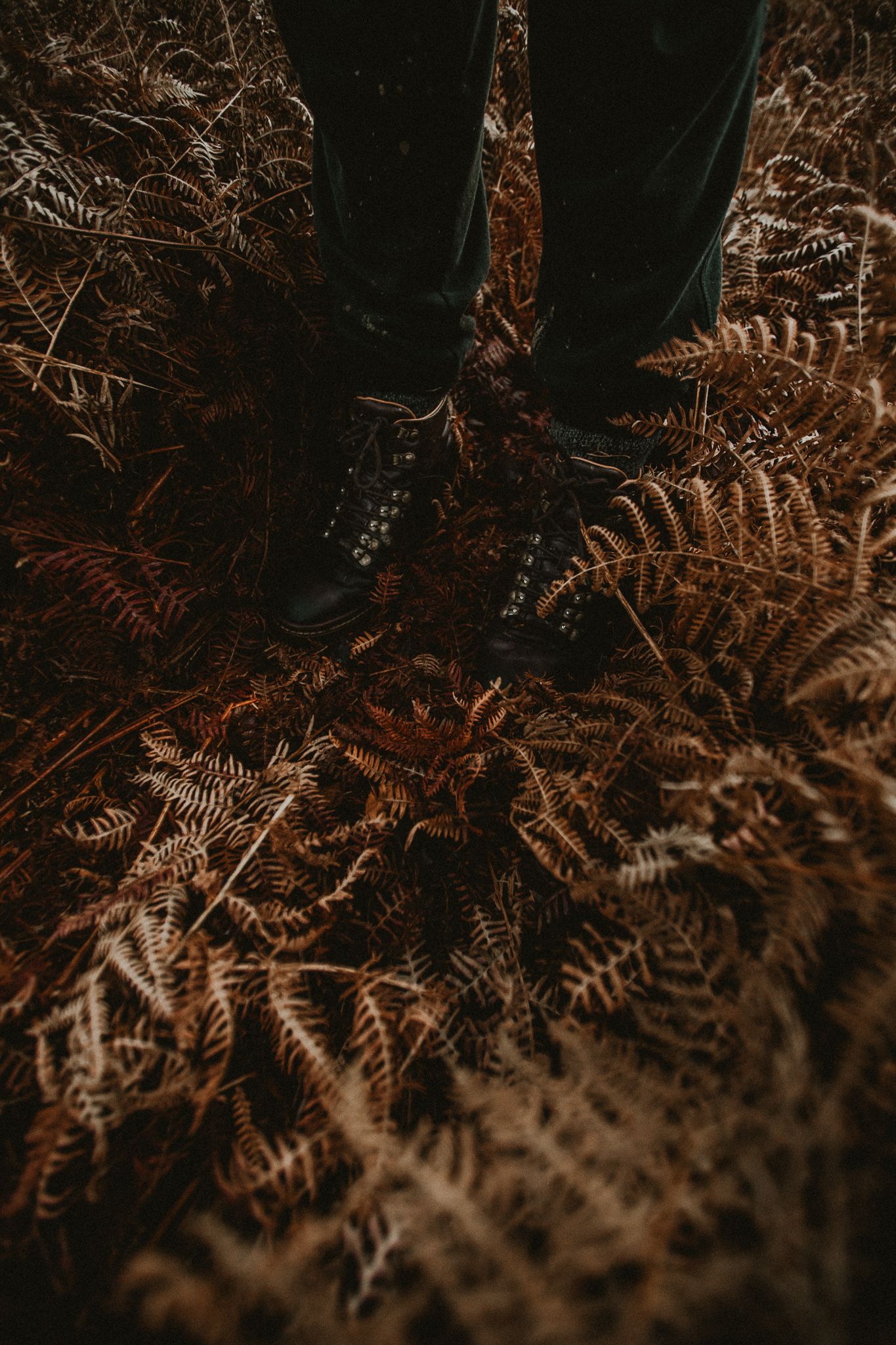 Person standing in black lace-up boots among dried brown autumn ferns on a forest floor.
