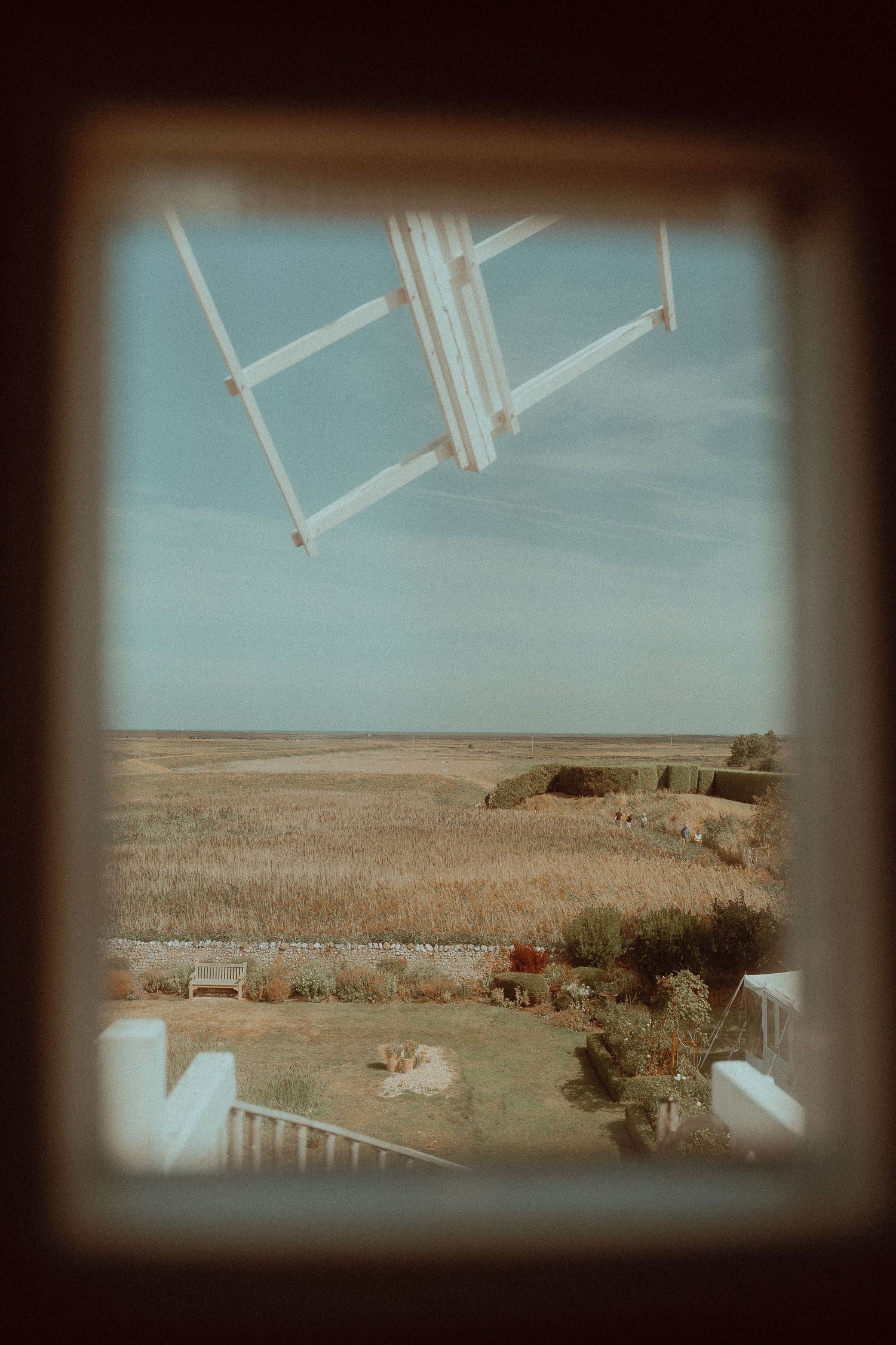 View through a rustic window frame of a golden wheat field, garden, and blue sky with a white ladder visible.