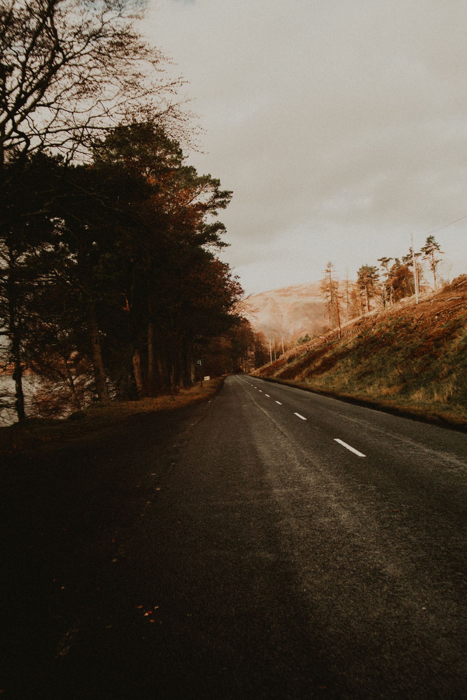 A quiet two-lane road winds through autumn trees in Scotland under a moody overcast sky in a rural landscape.