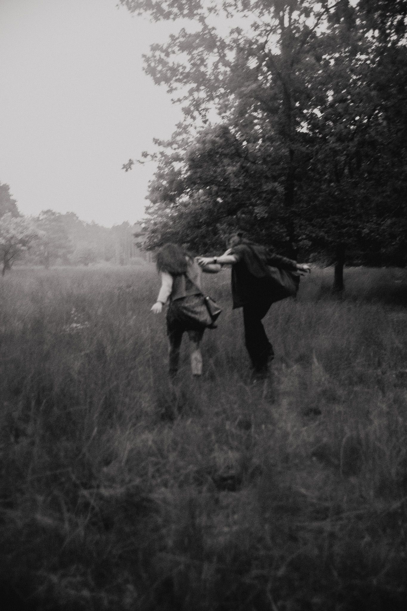 A sequence of grainy black and white photos showing two figures engaged in what appears to be a fight in a field.