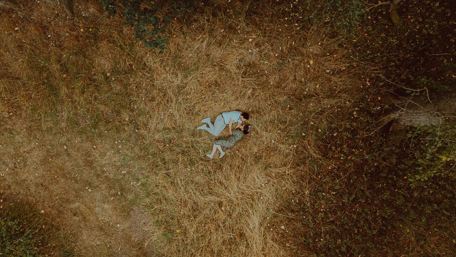 Aerial view of a couple lying in dry golden grass field, shot from directly above.