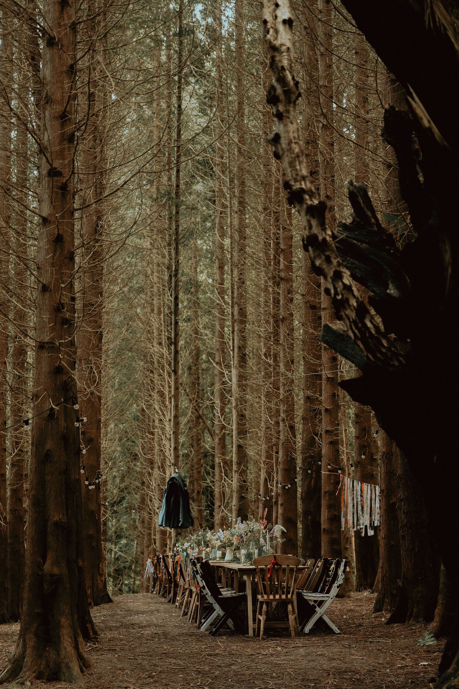 Enchanting forest wedding reception with long dining table set among tall pine trees in a woodland setting.