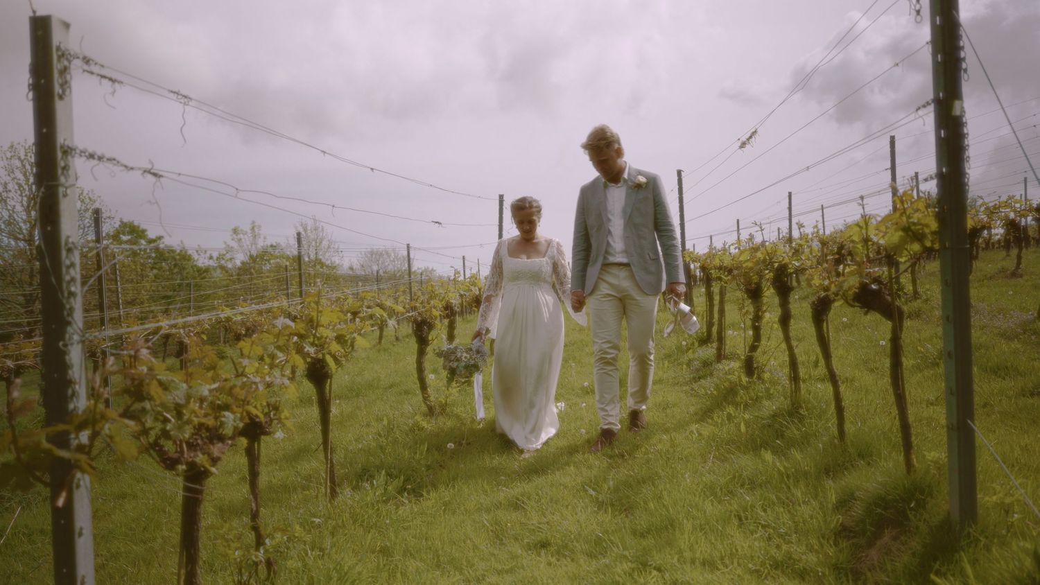 A bride and groom walk hand in hand through lush vineyard rows on their wedding day.