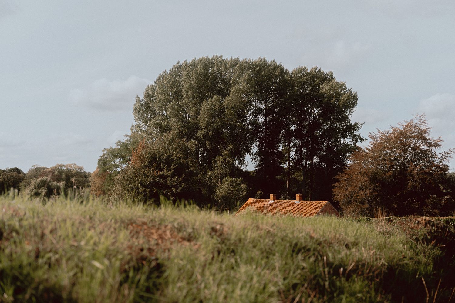 A rustic red-roofed cottage nestled among lush green trees and wild meadow grass under a cloudy sky in Norfolk