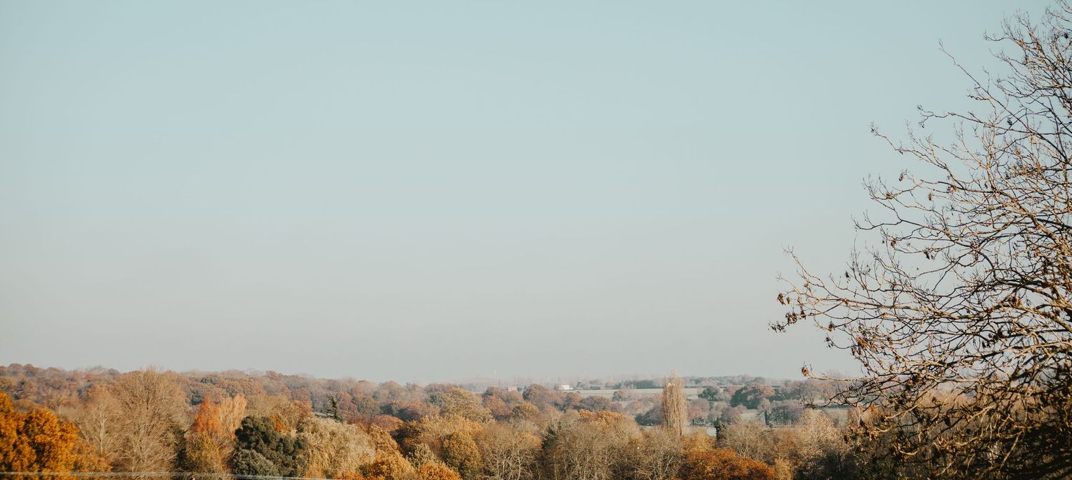 Autumn landscape panorama with colorful trees under a clear blue sky in a peaceful countryside setting.