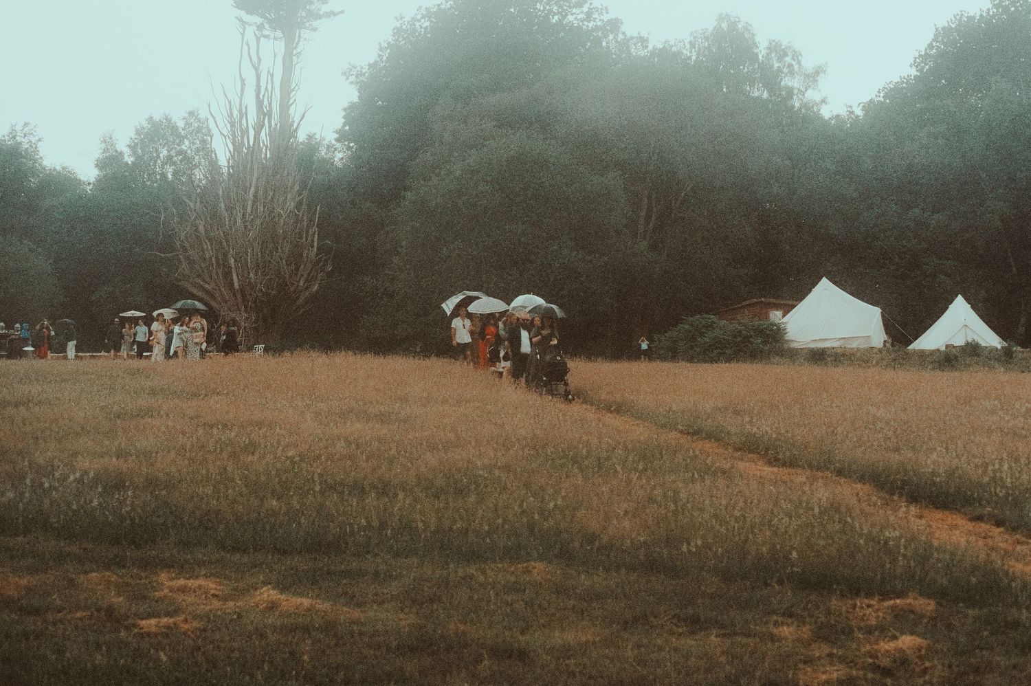 Wedding guests walking through a misty field with umbrellas near a white tent and lush green trees in the background.