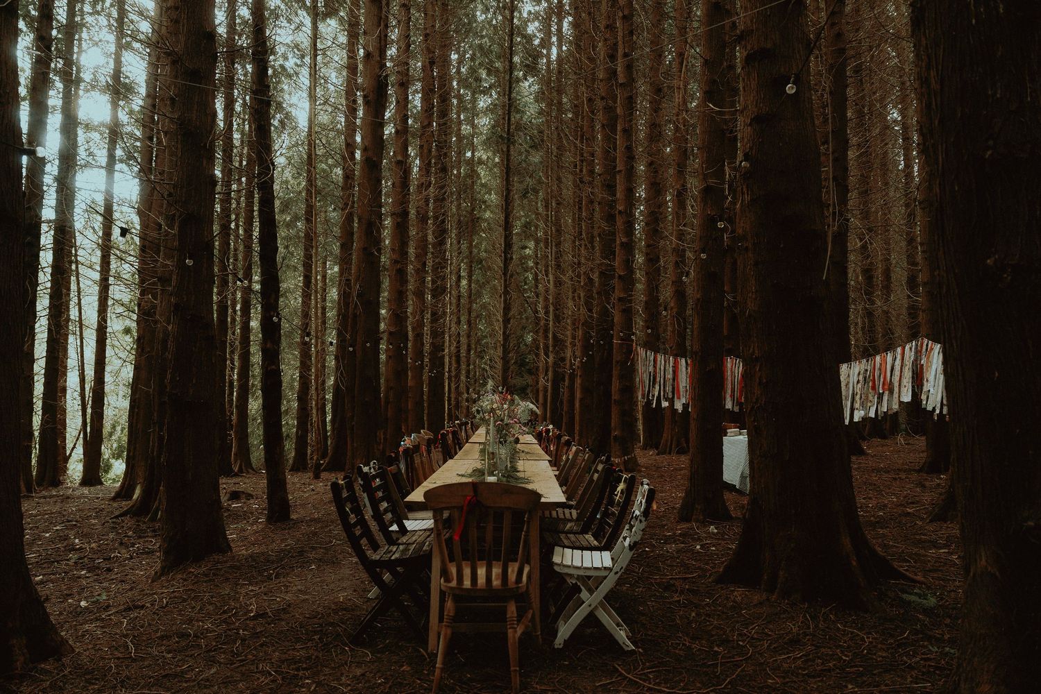 Long wooden dining table with chairs set up in a tall, dense pine forest with hanging fabric banners for a rustic outdoor dinner.