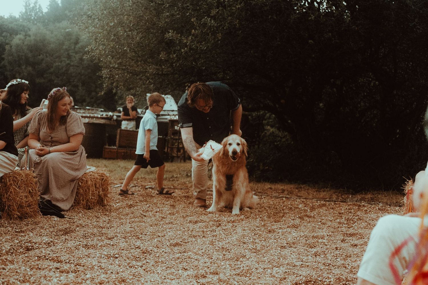 A golden retriever stands with a child and adult at an outdoor rustic gathering with hay bales and guests.