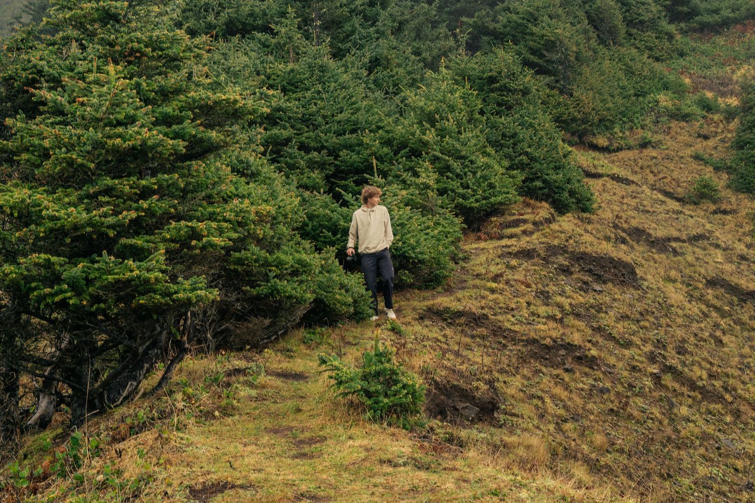 Person hiking along a scenic hillside trail surrounded by lush greenery and golden grass.