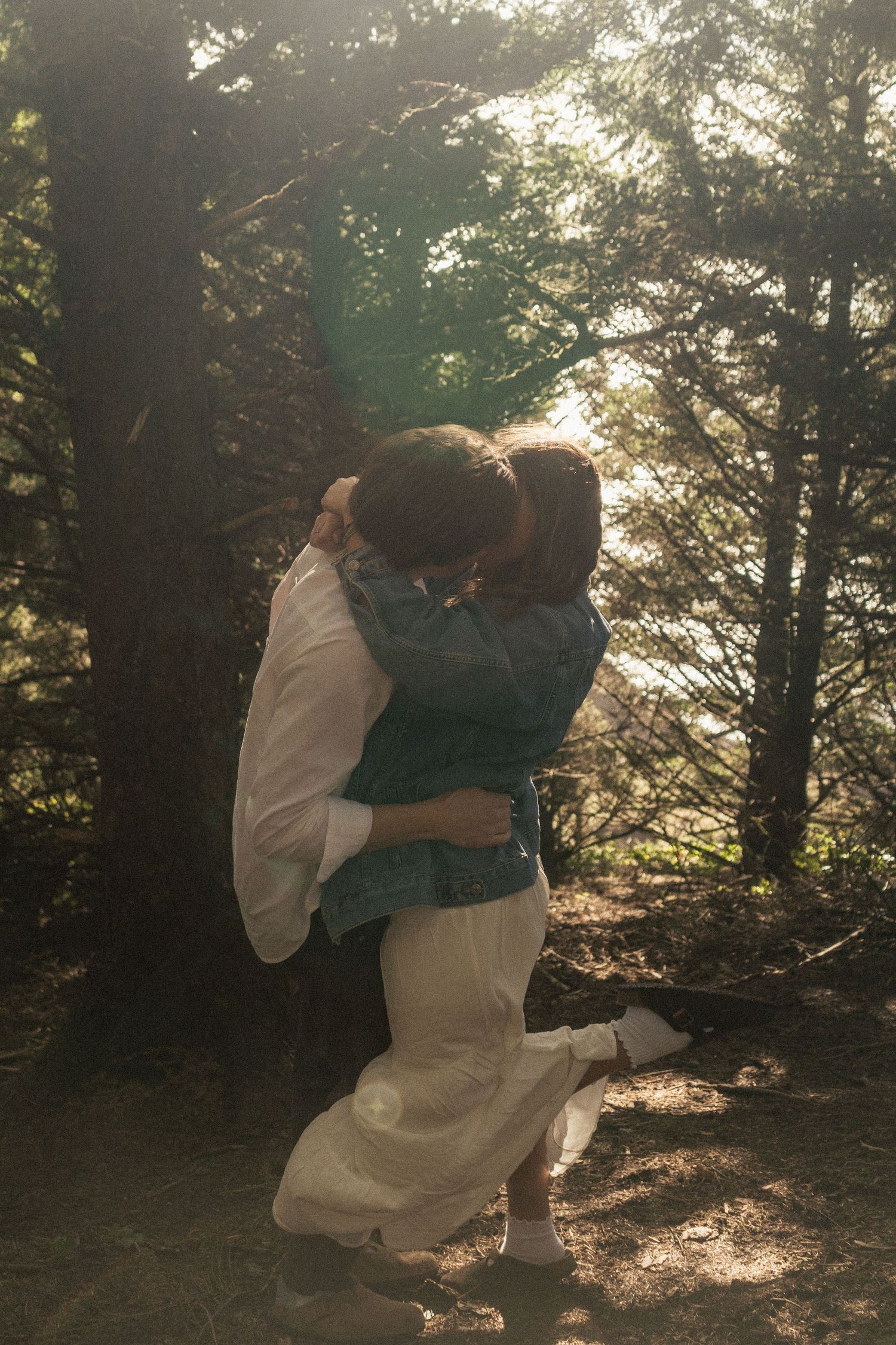 A couple embracing in sunlit woods, with golden light filtering through the trees.