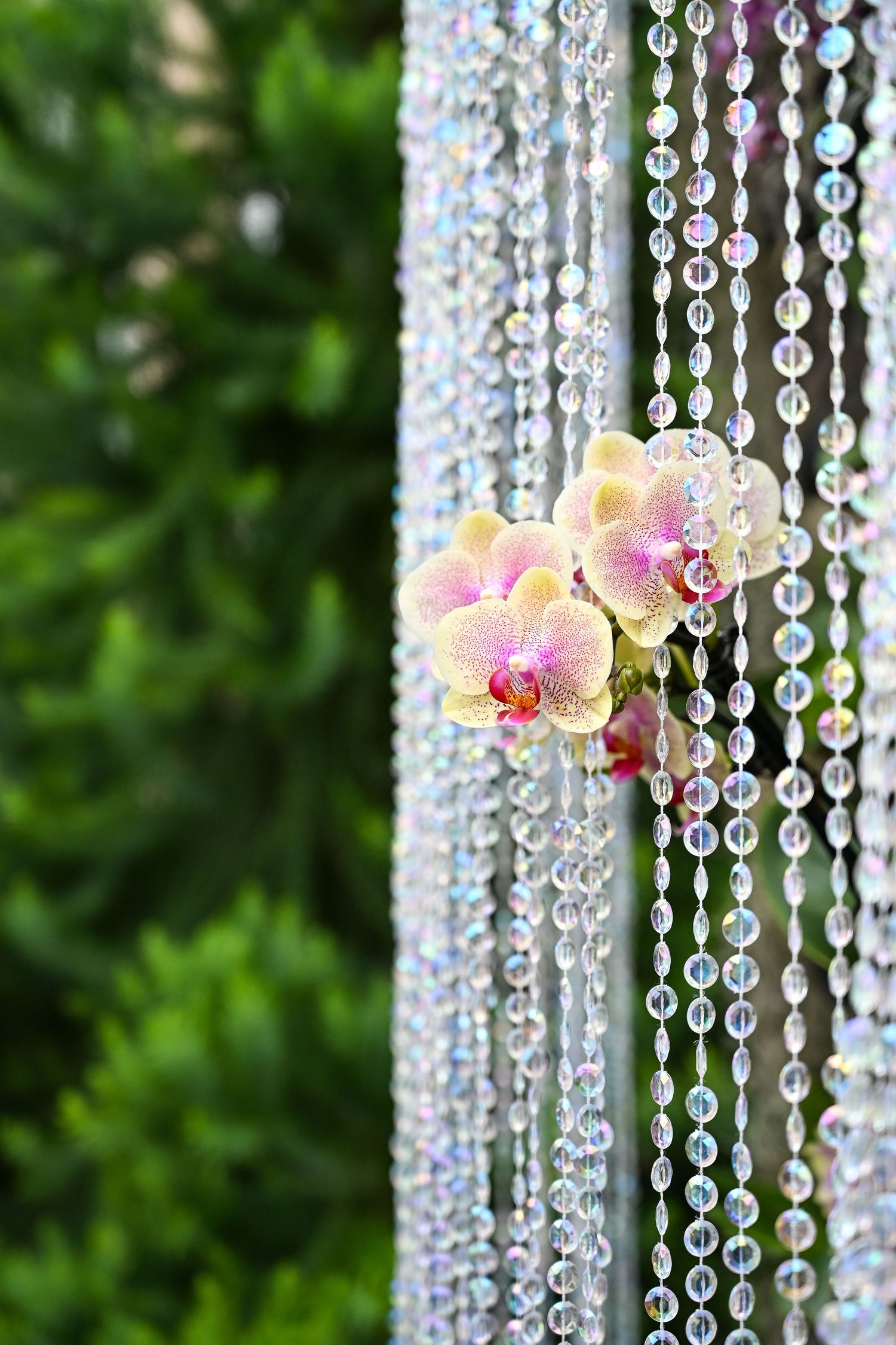 Crystal beaded curtain with delicate pink and cream orchid flowers against blurred green foliage background.