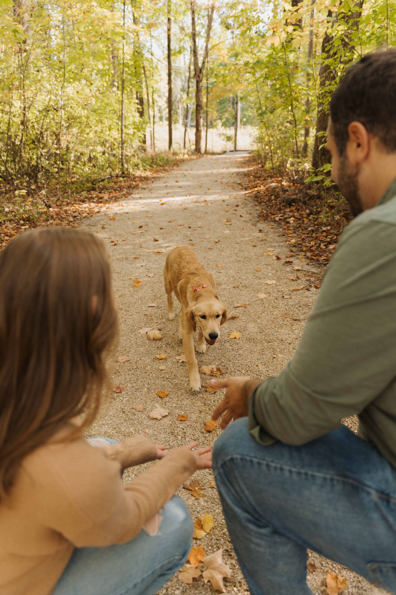A brown dog approaches people sitting on a forest path covered in fallen autumn leaves.