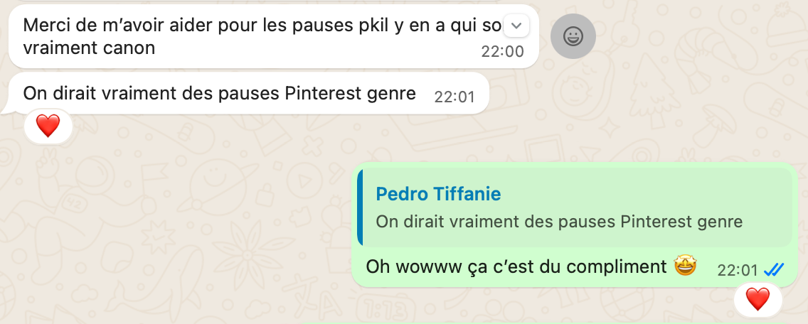 Screenshot of a French WhatsApp chat complimenting Pinterest-worthy photo poses.