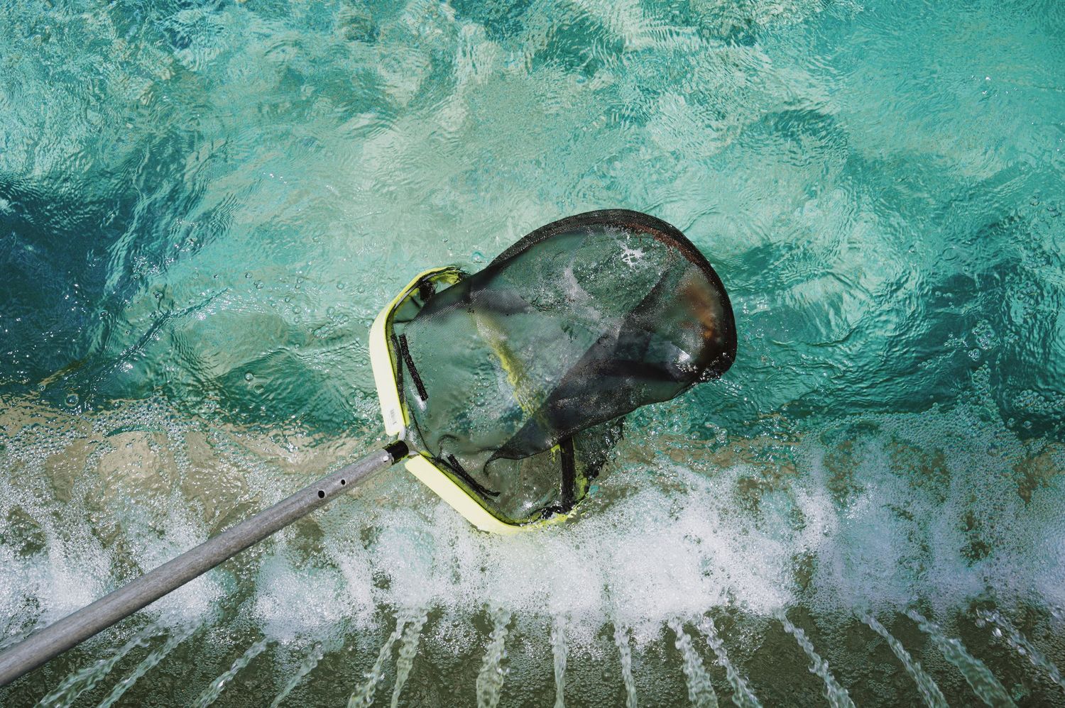 A pool cleaning net skimmer scooping debris from a turquoise swimming pool close-up view.