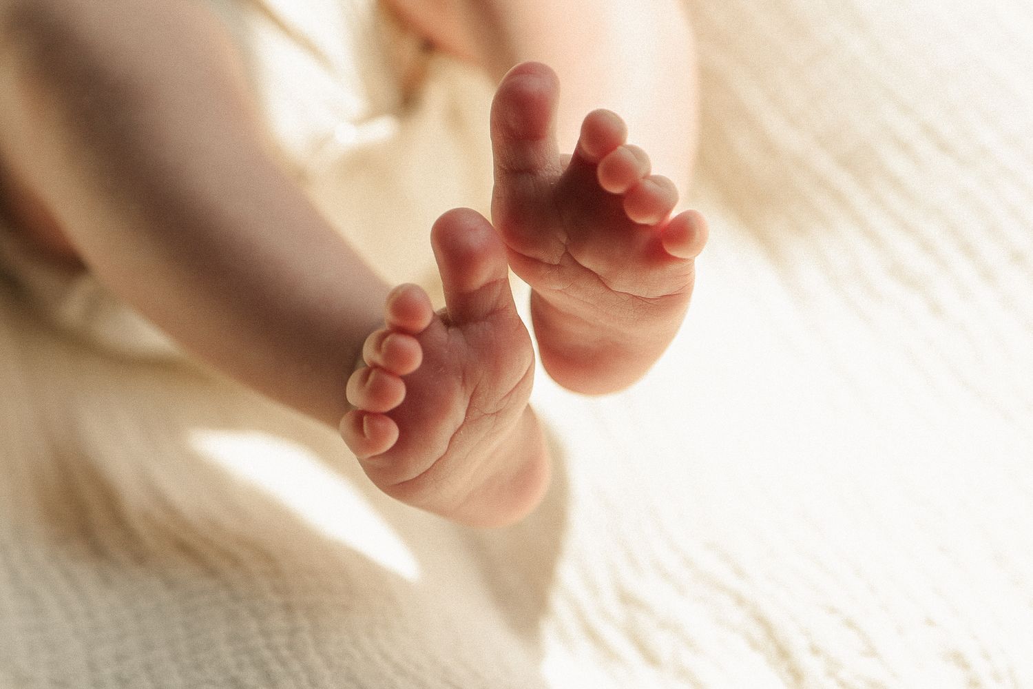 Close-up of tiny baby feet against a soft white background.