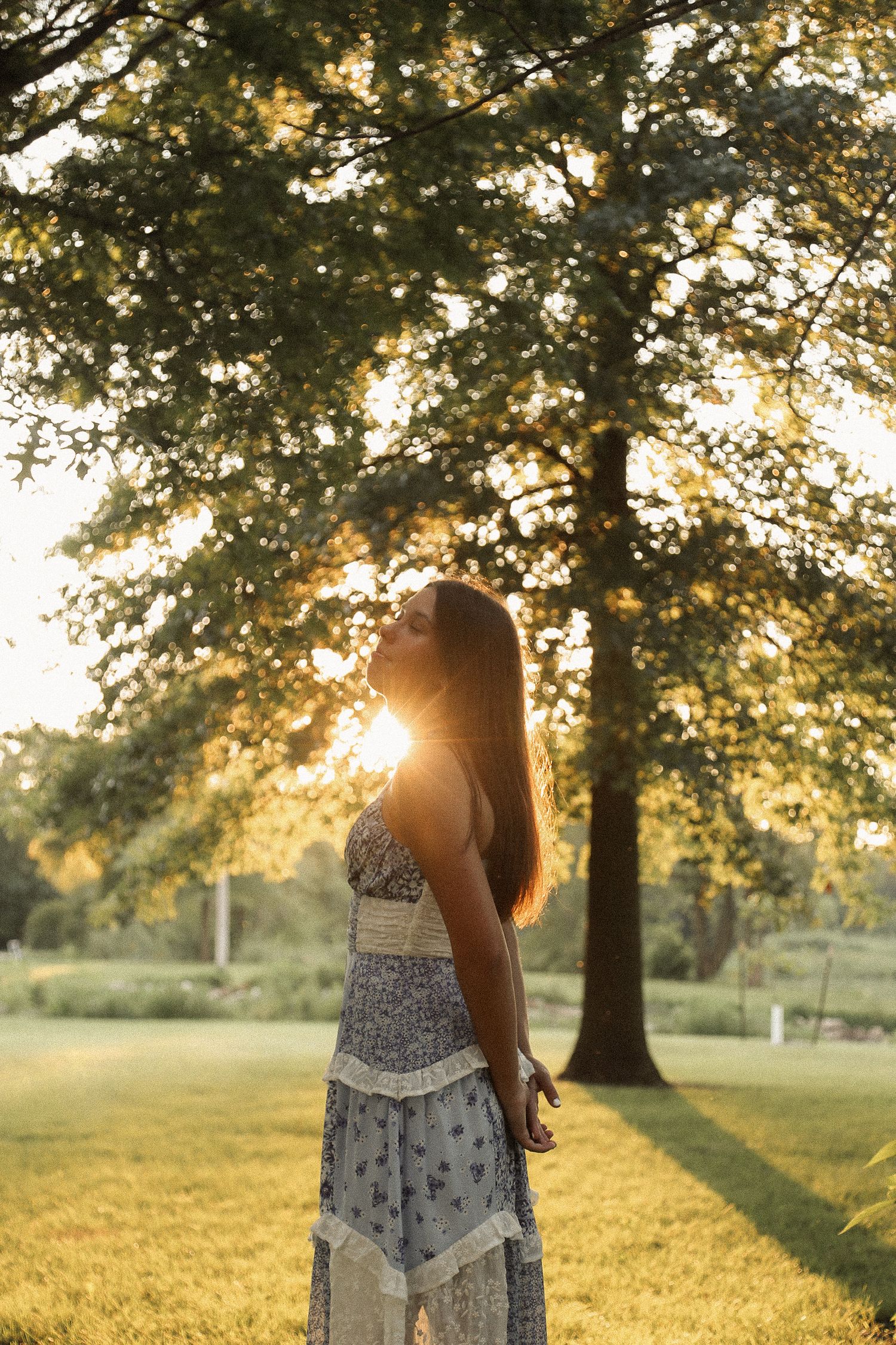 Sunlight streams through trees creating a golden backdrop for an outdoor summer photoshoot.