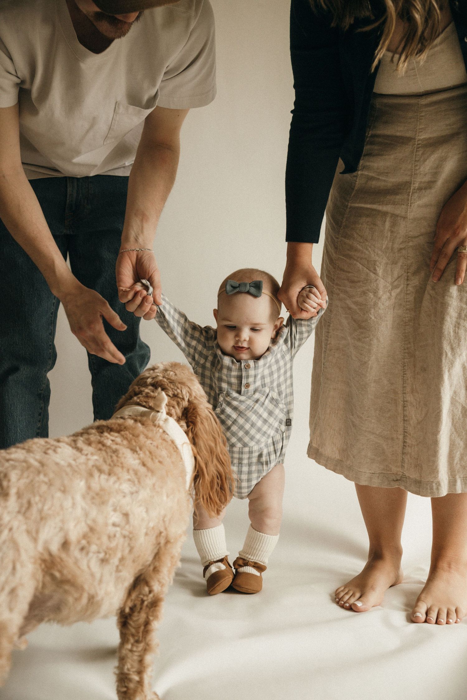 A baby takes first steps holding parents hands while a fluffy golden doodle dog watches in a bright studio setting.