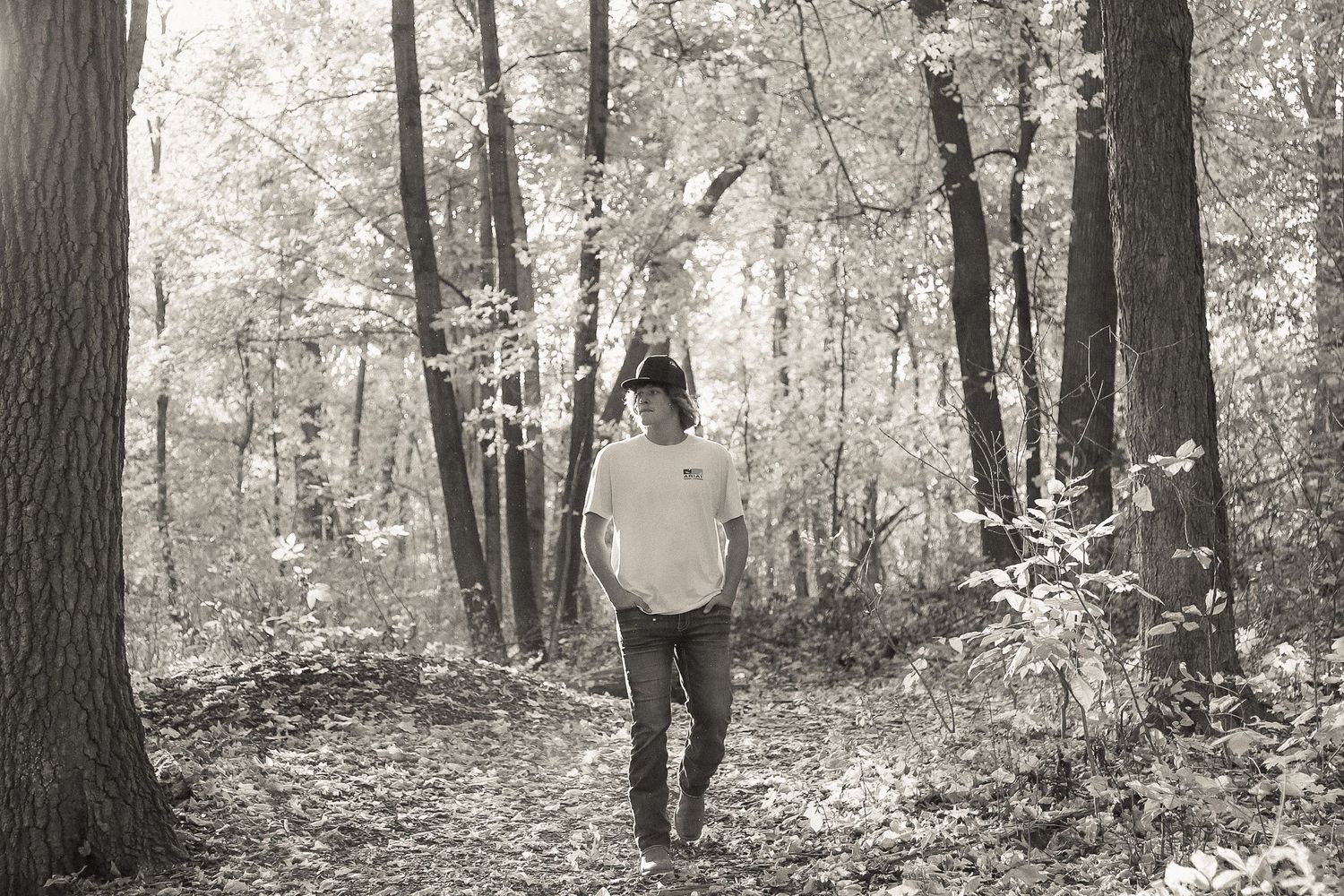 Artistic black and white sequence walking among tall trees in autumn forest.