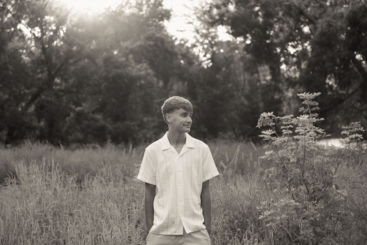 Person in white shirt walking through a sunlit meadow with tall grass.