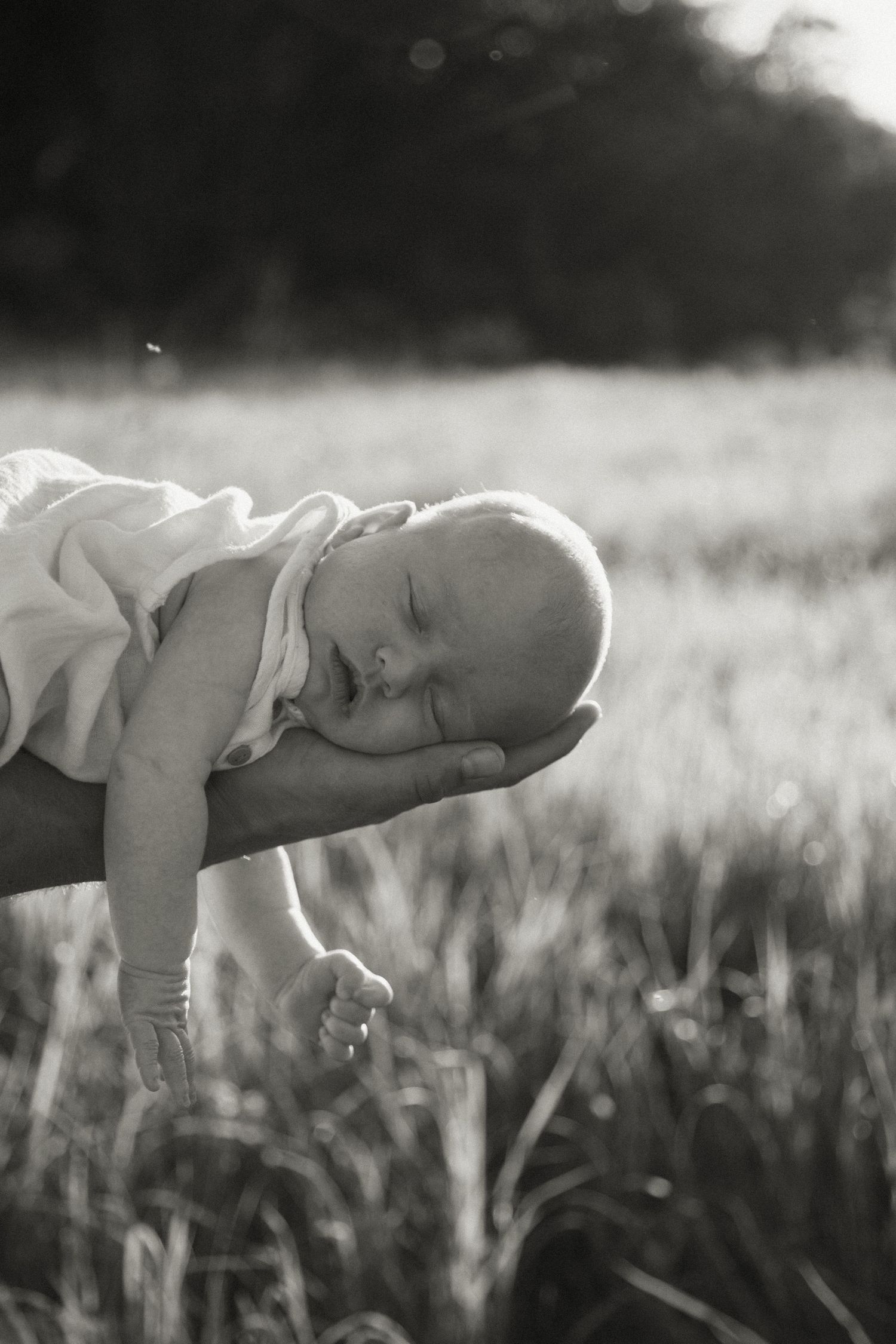 A sleeping newborn baby rests peacefully on an outstretched hand in a sunlit field, captured in black and white.