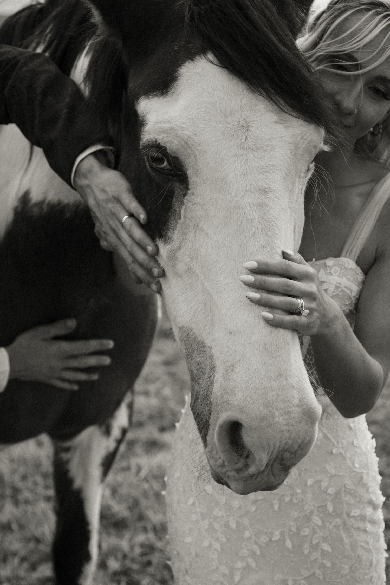 Black and white wedding photo of bride and groom tenderly touching a paint horse's face, rings visible.