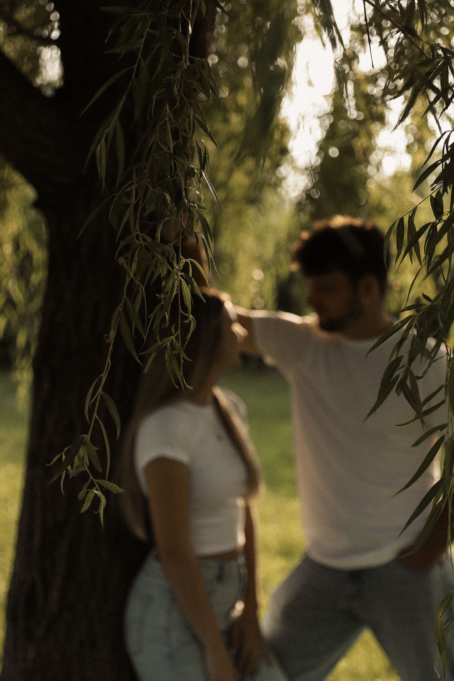 Romantic couple embracing under willow tree branches at sunset.