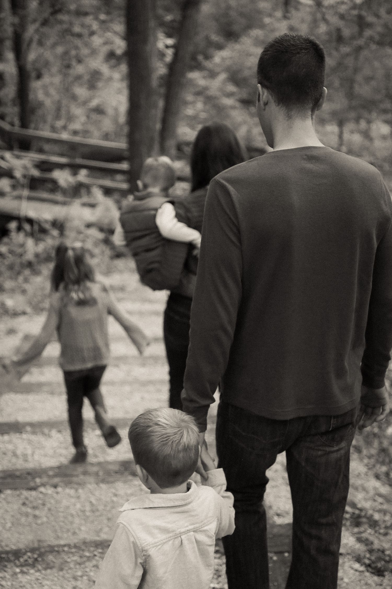 A silhouetted family walks together through a wooded path.