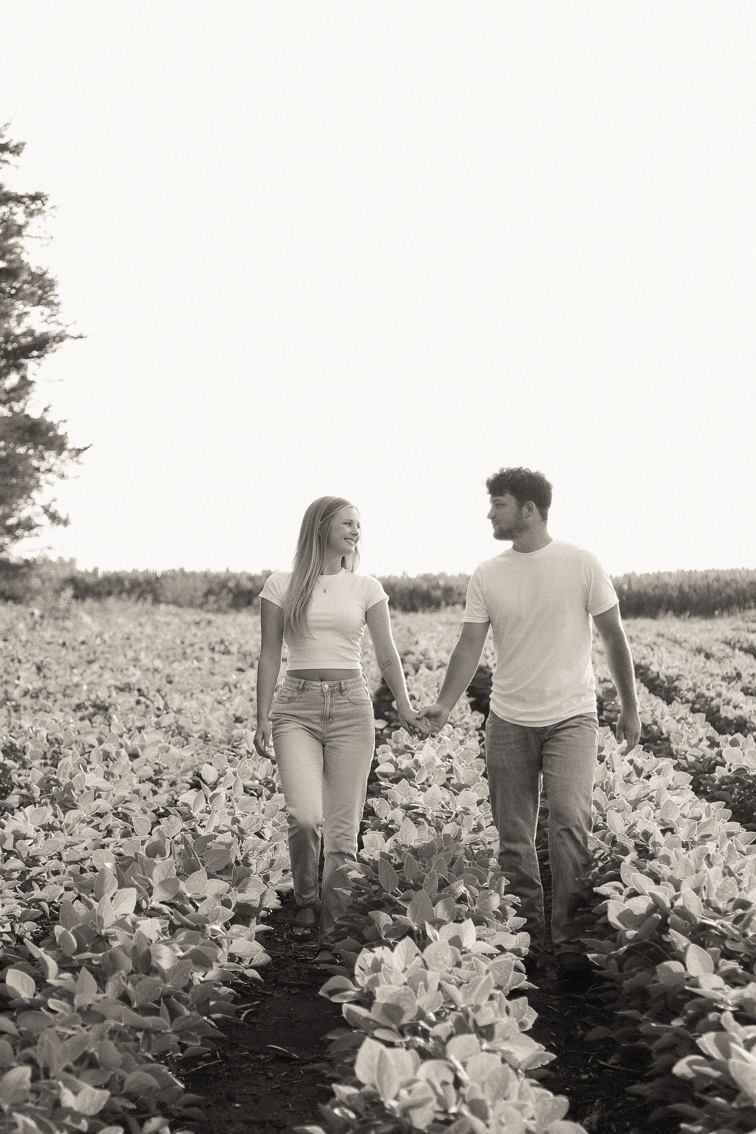 Couple walking through rows of flowering plants in a field.