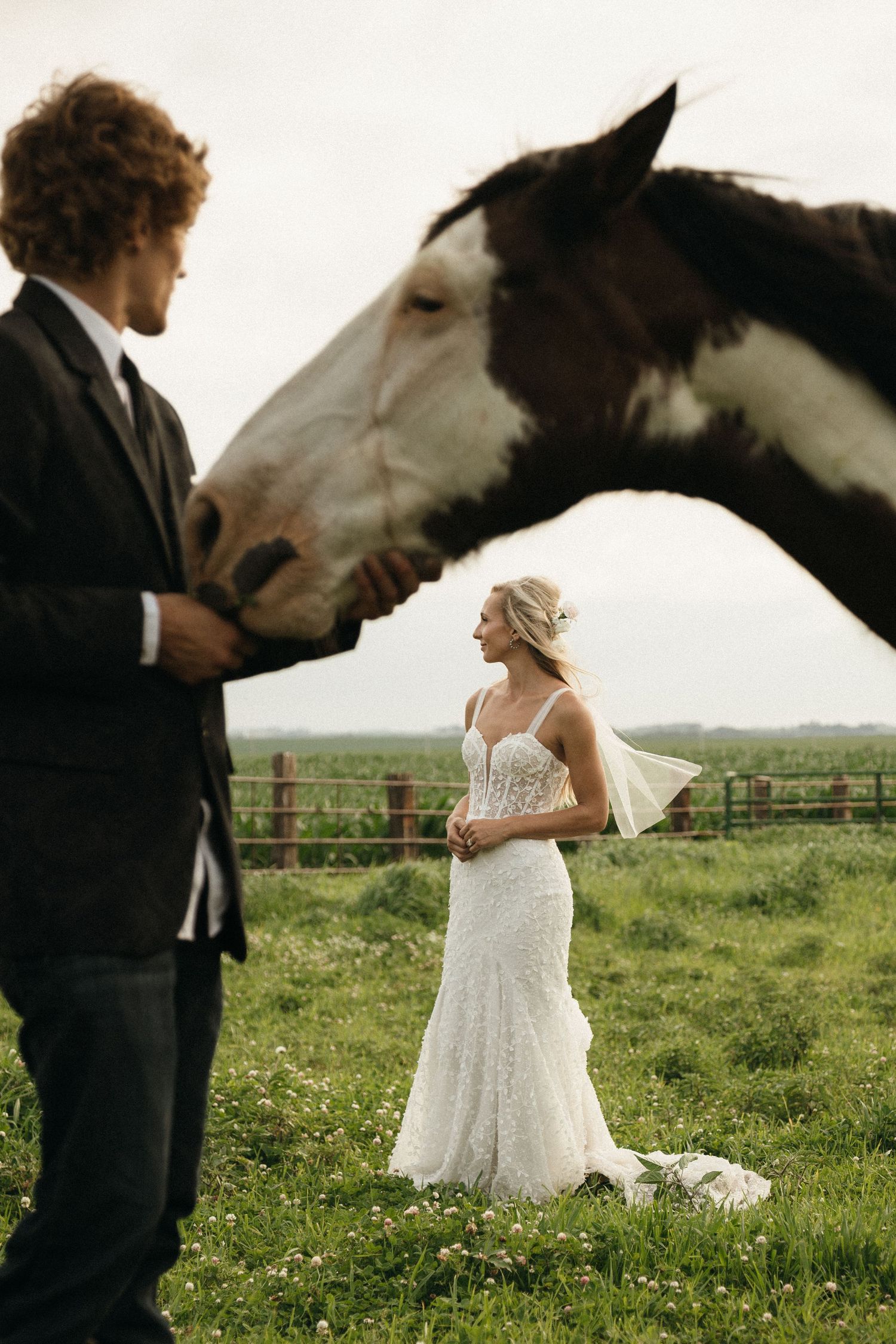 Bride and groom with a pinto horse in a green field on their wedding day.