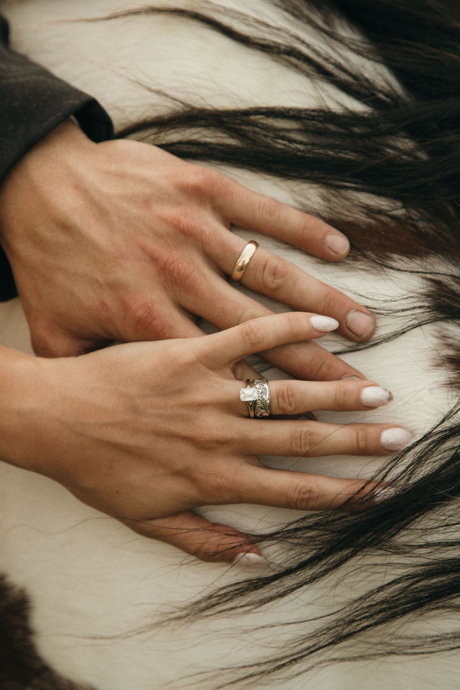 Close-up of bride and groom hands displaying wedding rings resting on dark horse mane.