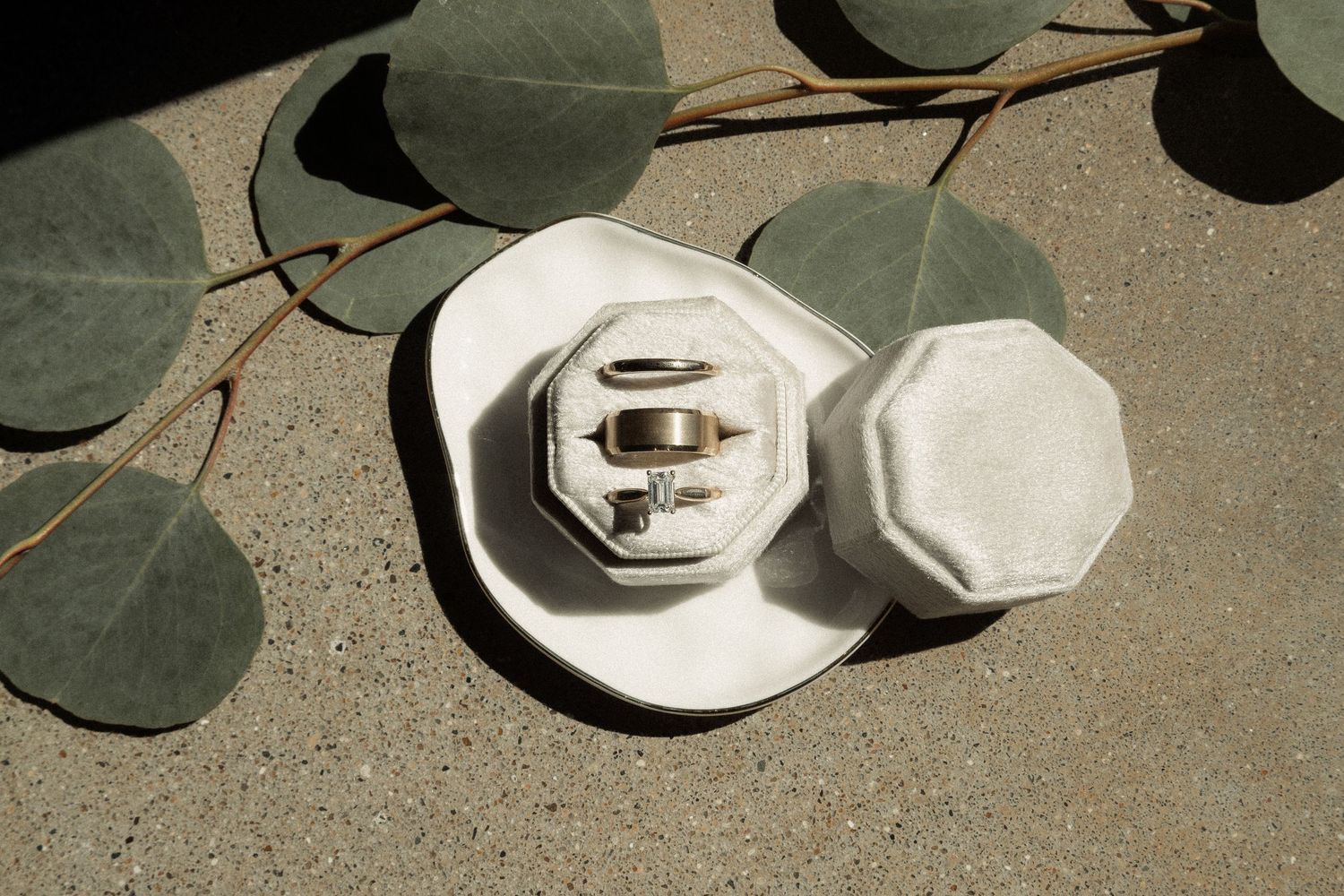 Minimalist wedding stationery details with eucalyptus leaves and shadows.