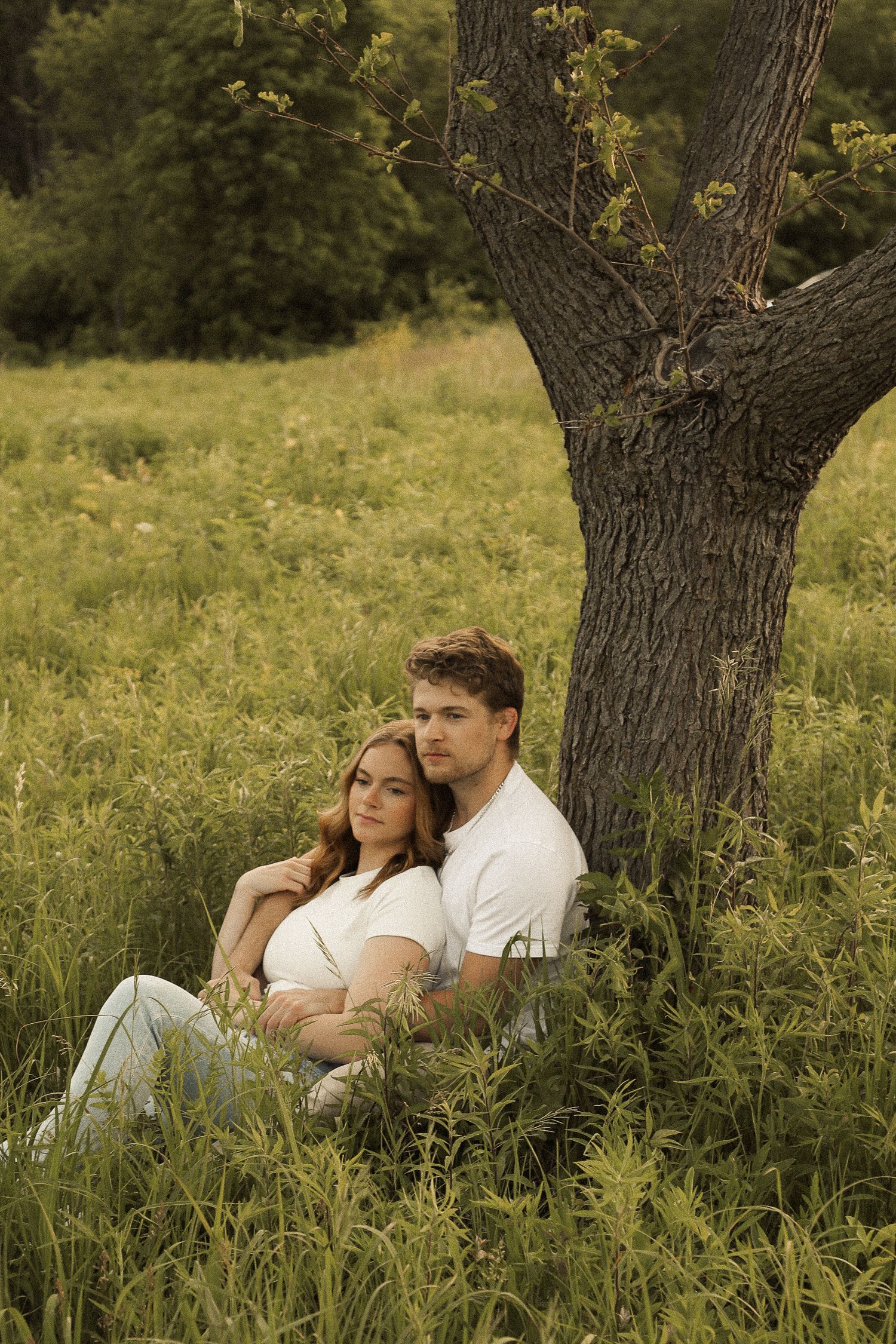 A couple sitting together under a large tree in a meadow during golden hour.