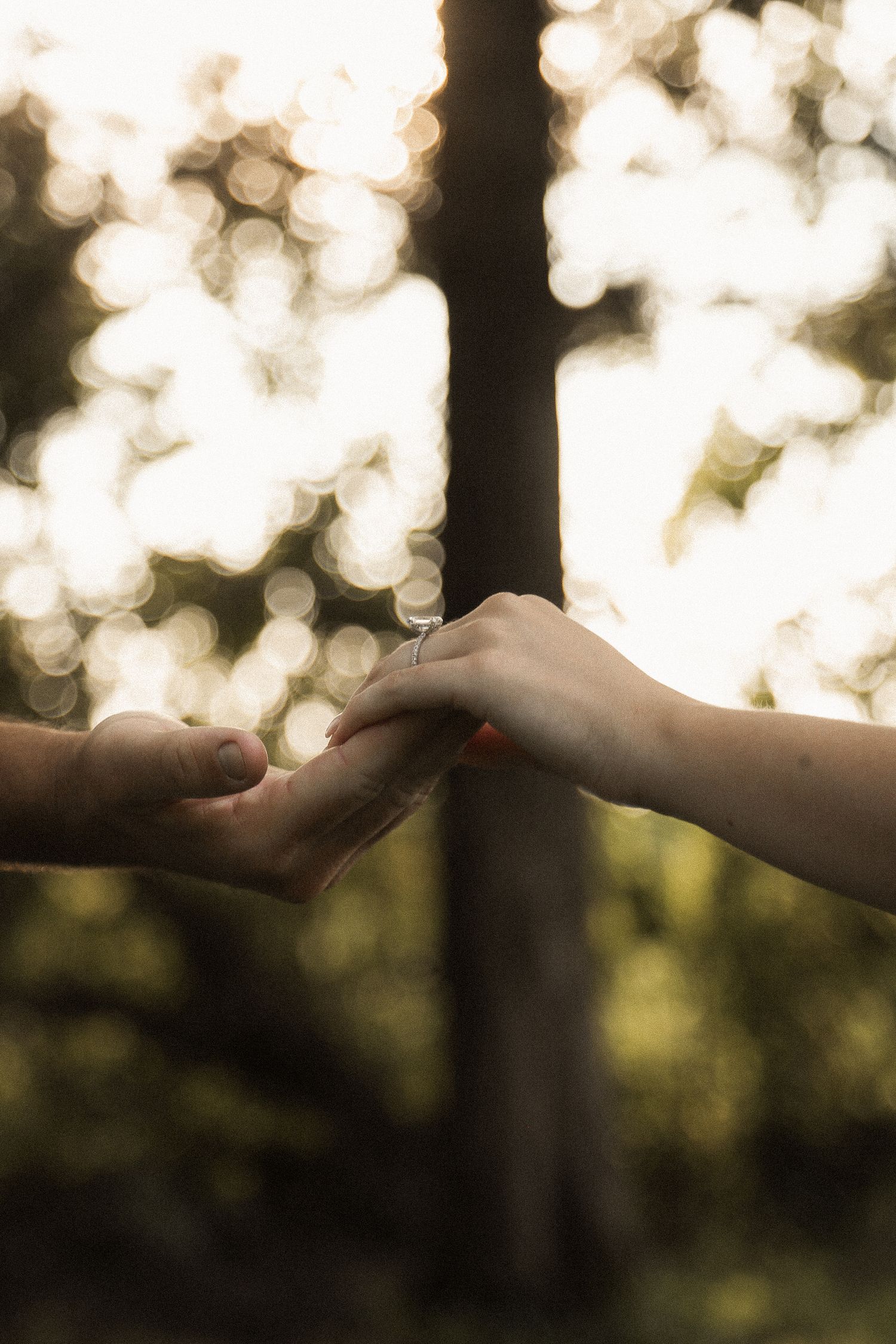 Two hands reaching towards each other in golden sunlight with trees silhouetted in background.