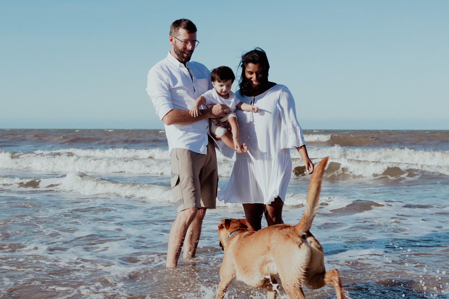 A family enjoying a beach day together with their dog as waves splash in the background.