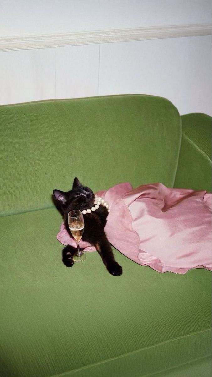 A glamorous black cat wearing pearl necklace holds champagne glass while reclining on pink fabric on a green sofa.