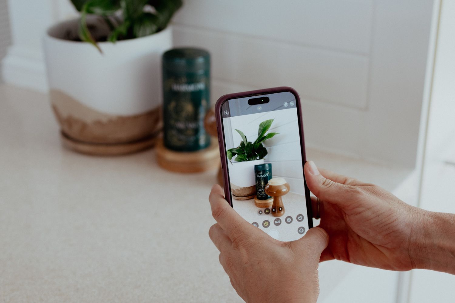 Hand holding smartphone taking photo of houseplant on white counter.