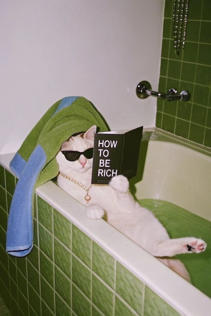 A white cat wearing sunglasses and a gold chain relaxes in a bathtub reading a book titled How To Be Rich.