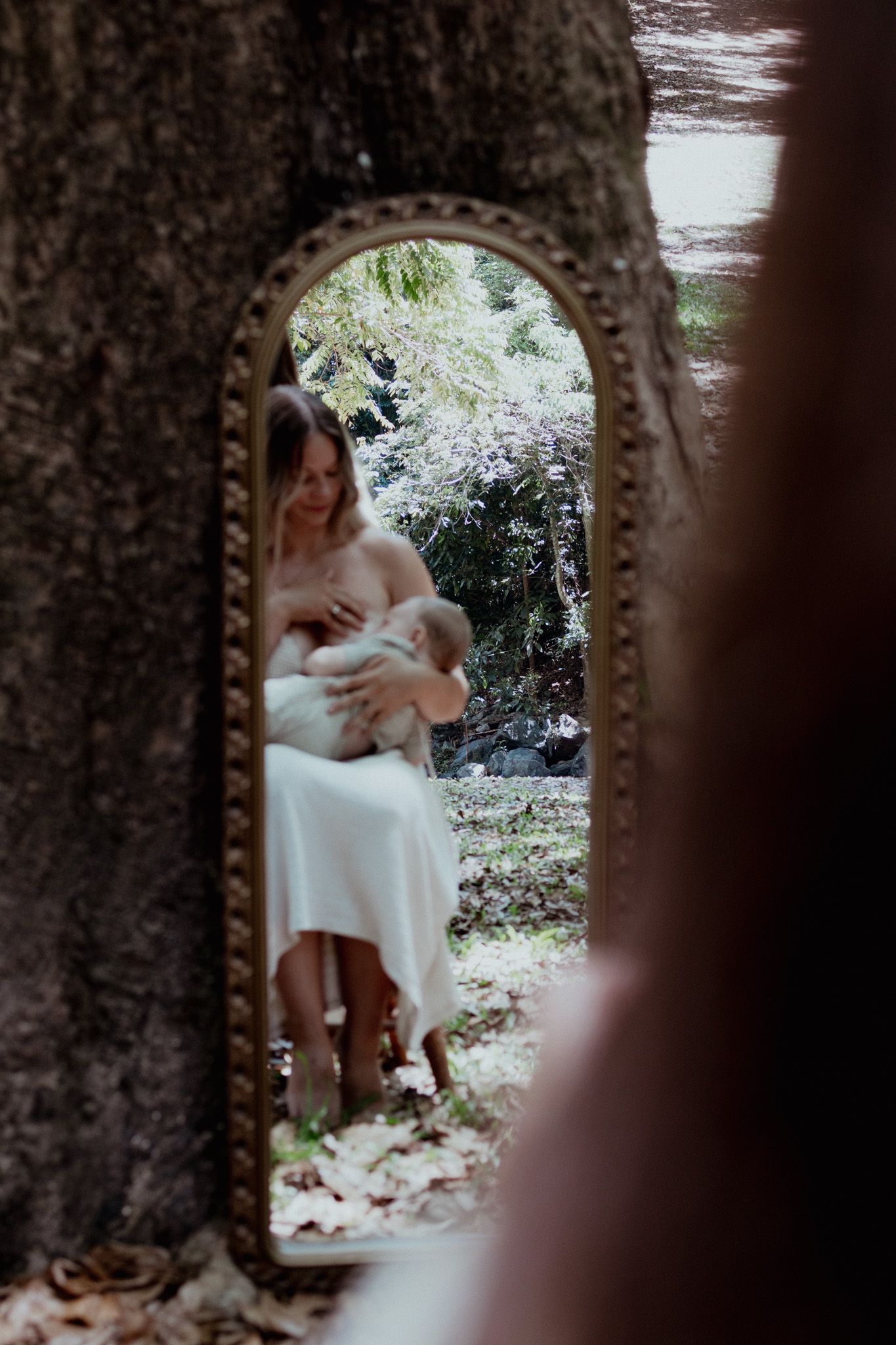 An artistic series of photos framed through a stone archway in a garden setting.