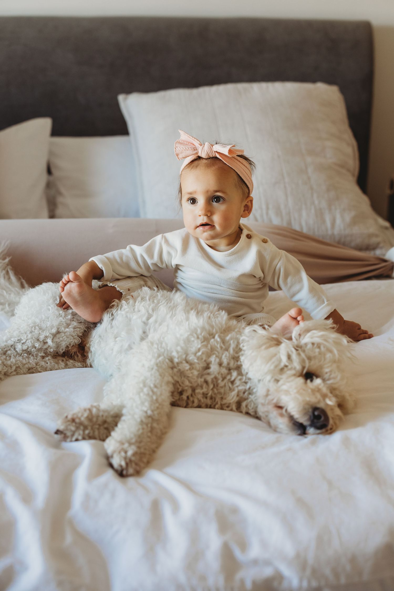 Adorable baby girl wearing a pink bow headband sitting on a white bed next to a fluffy white poodle dog.