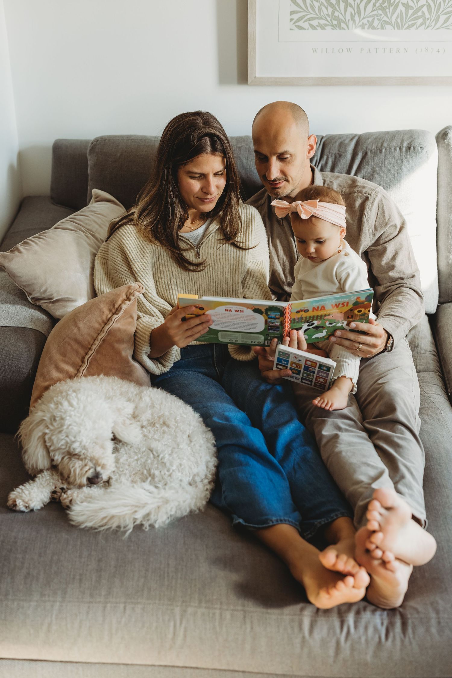 Family with baby and white fluffy dog reading a colorful picture book together on a cozy gray sofa at home.