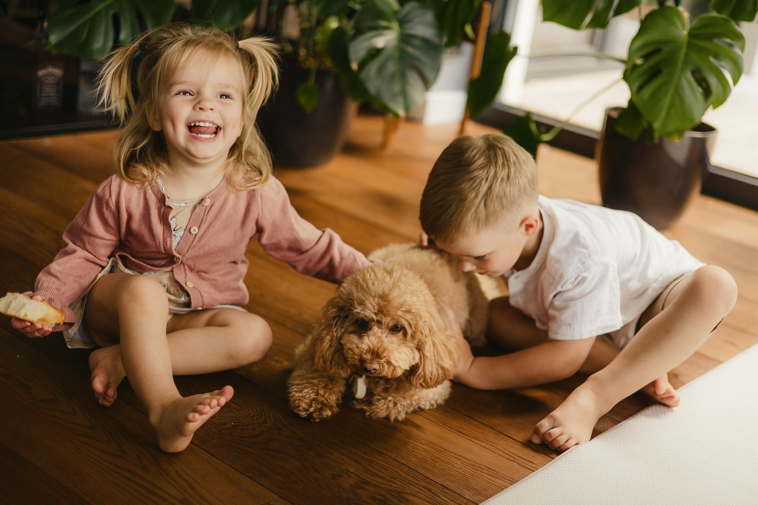 Two young children laugh and play with an adorable fluffy golden doodle puppy on a hardwood floor.