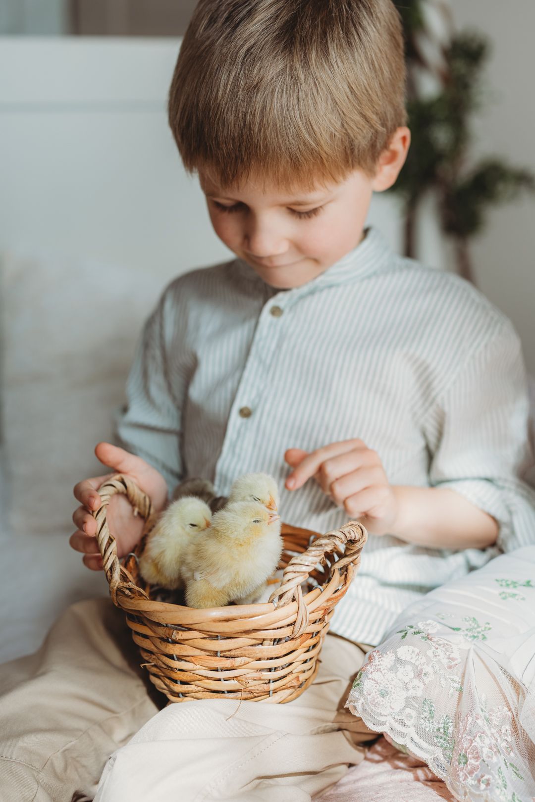 Smiling young boy in light blue shirt holding a wicker basket filled with fluffy yellow baby chicks.