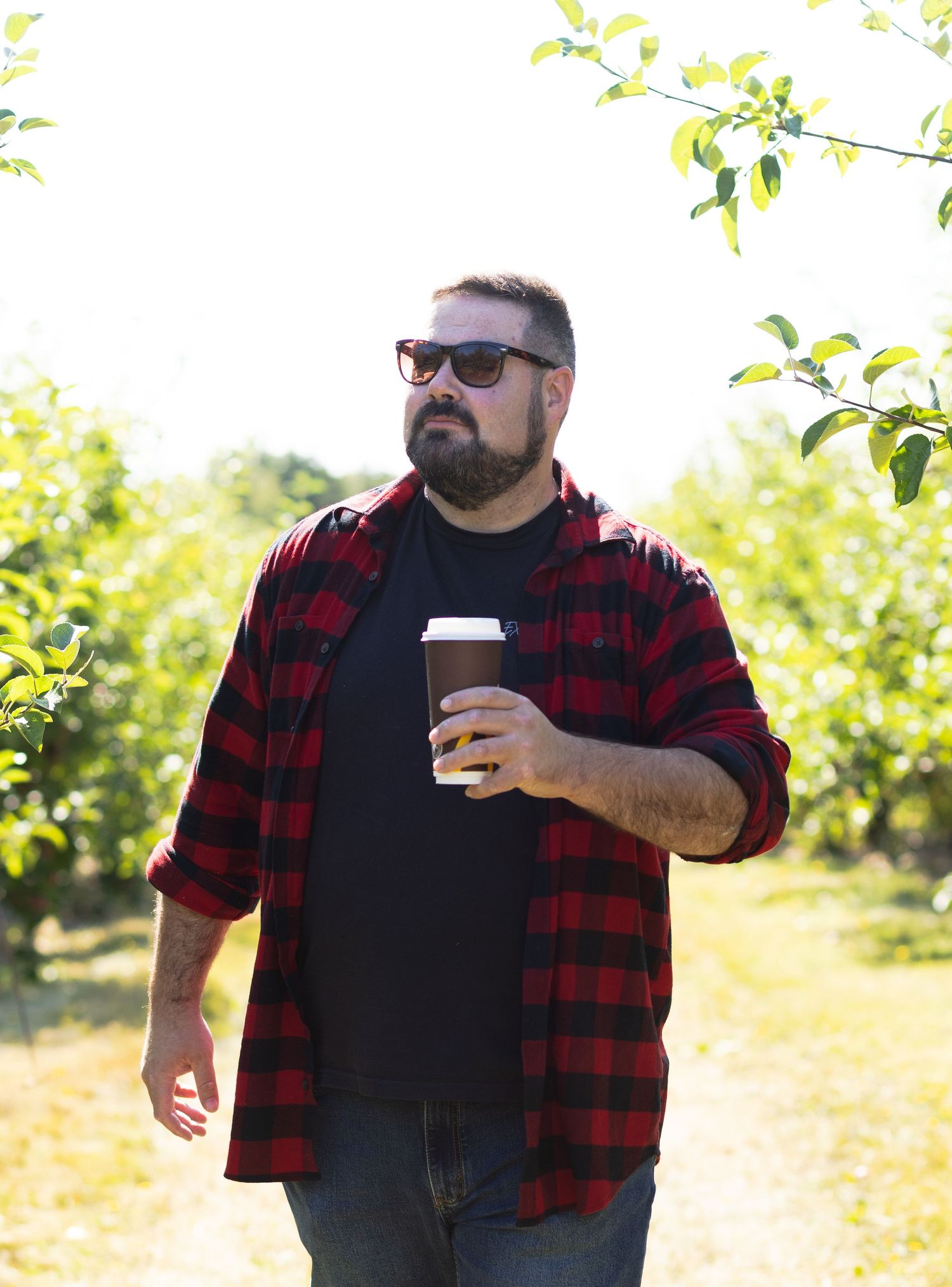 man walking in apple orchard
