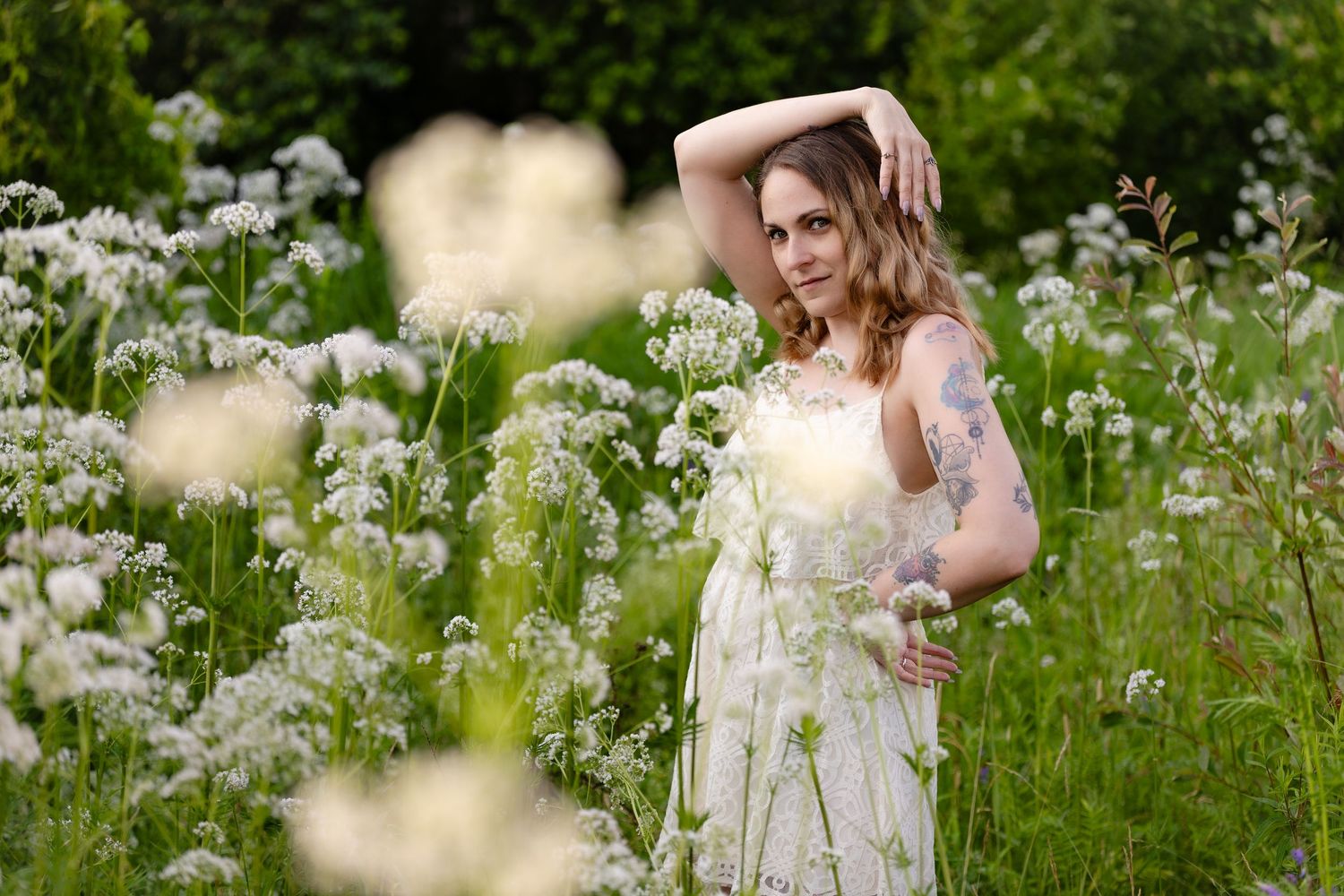 Wildflowers in the summer