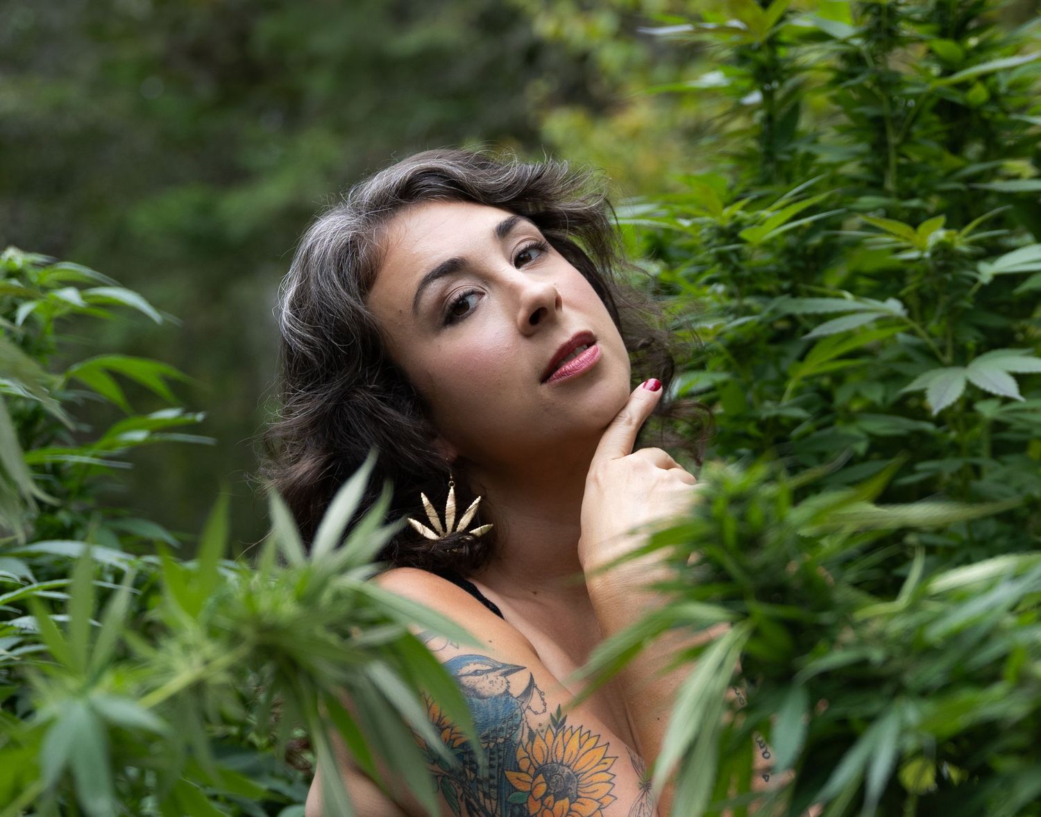 Cannabis queen Sativa Stardust